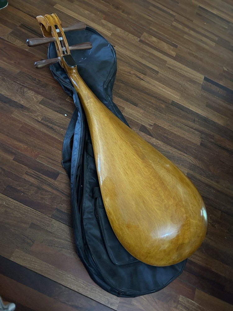 Chinese musical instruments-Pipa
