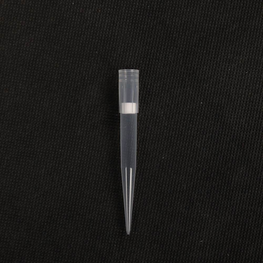 1000Pcs 1000uL Filter Pipette Tips