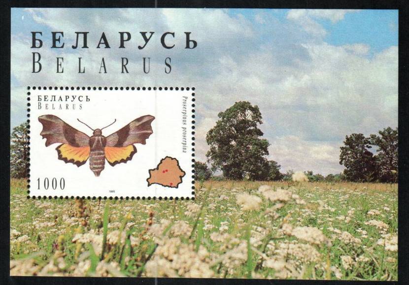 Belarus Stamp 139  - Butterfly