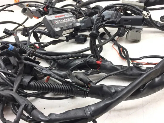 Main Engine Wiring Harness 2004 Harley-Davidson Electra Glide EFI FLHTI 3199