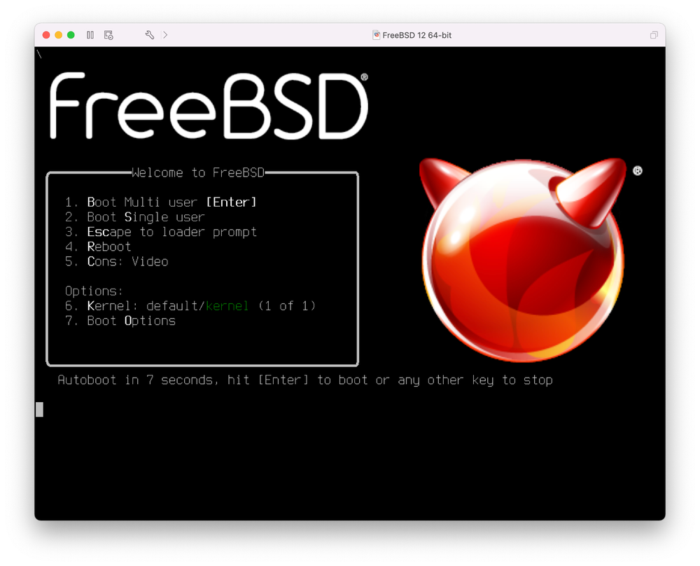 Free BSD 14 Linux Desktop Live/Installer MultiBoot USB - 64-bit and 32-bit