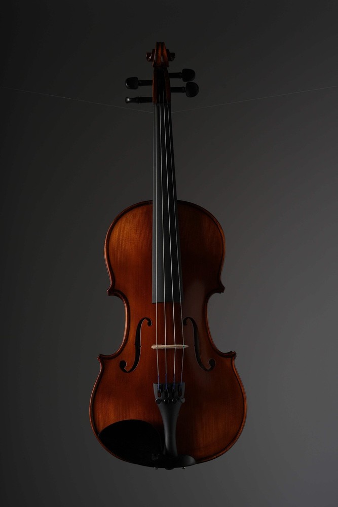Cremona Violin SV-500 incl. case