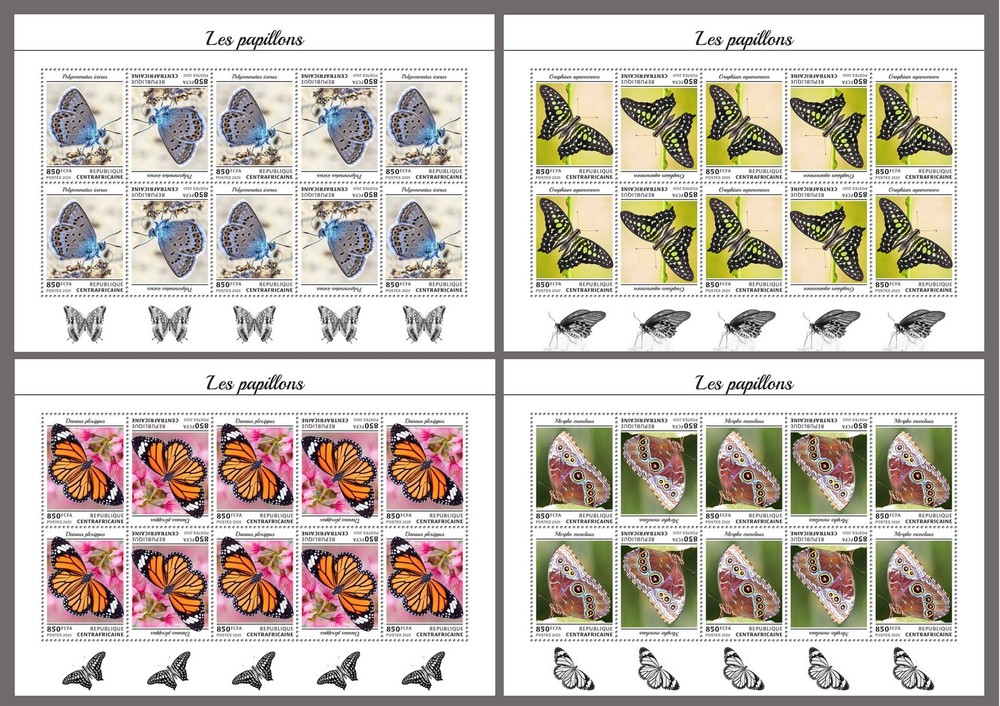 Butterflies