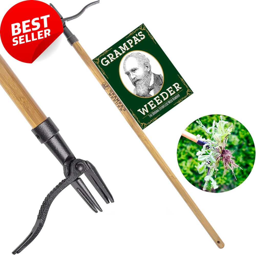 Stand Up Weed Puller Tool Long Handle Bamboo 4 Claw Steel No Bend Garden