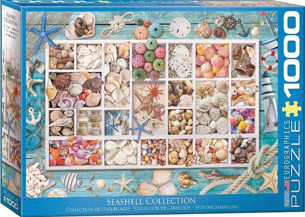 Seashell Collection 1000-Piece Jigsaw Puzzle