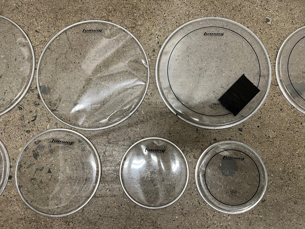 DRUM HEAD LOT LUDWIG EVANS CLEAR