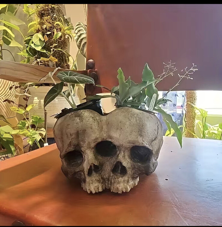 Skull Head Design Flower Planter Pot Container Home Decoration