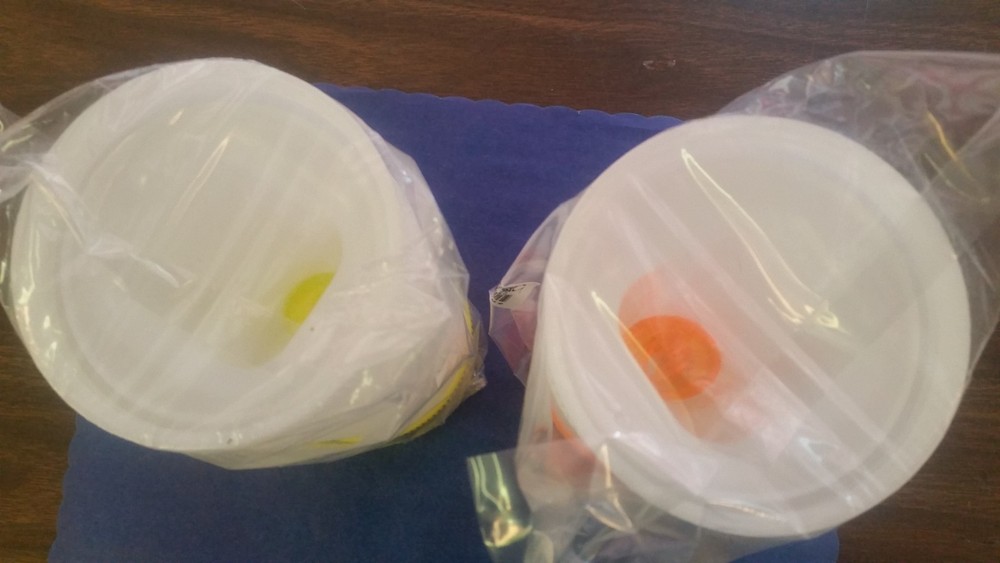 BEVERAGE/JUICE SERVERS 1 QUART PLASTIC CONTAINER ORANGE, PINEAPPLE (2 BOTTLES)