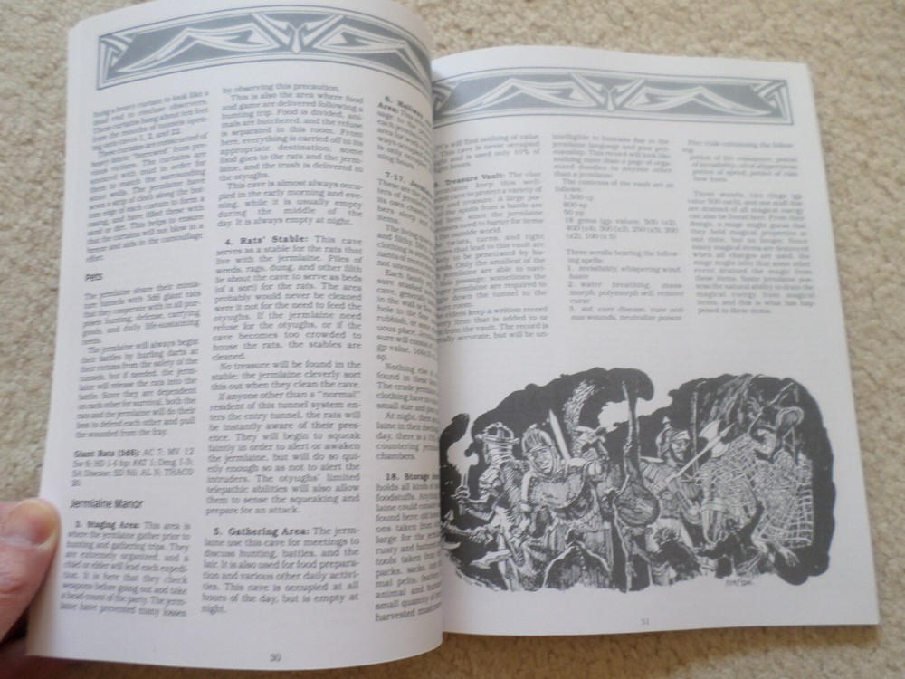 WGA2 Falconmaster Greyhawk adventure module Dungeons & Dragons AD&D
