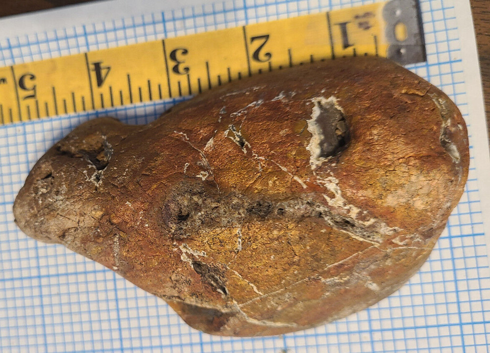 Red and Yellow Moss Agate Rough