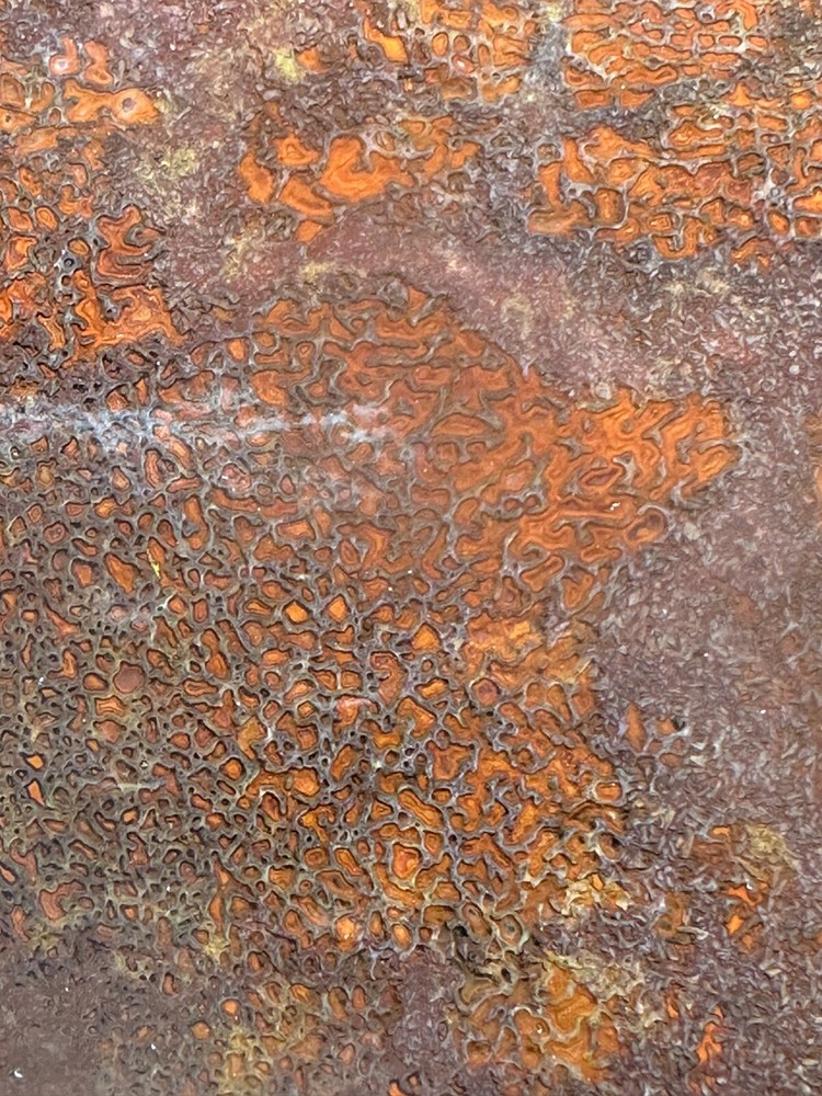 Dinosaur gem bone rough **hxtled large slab.