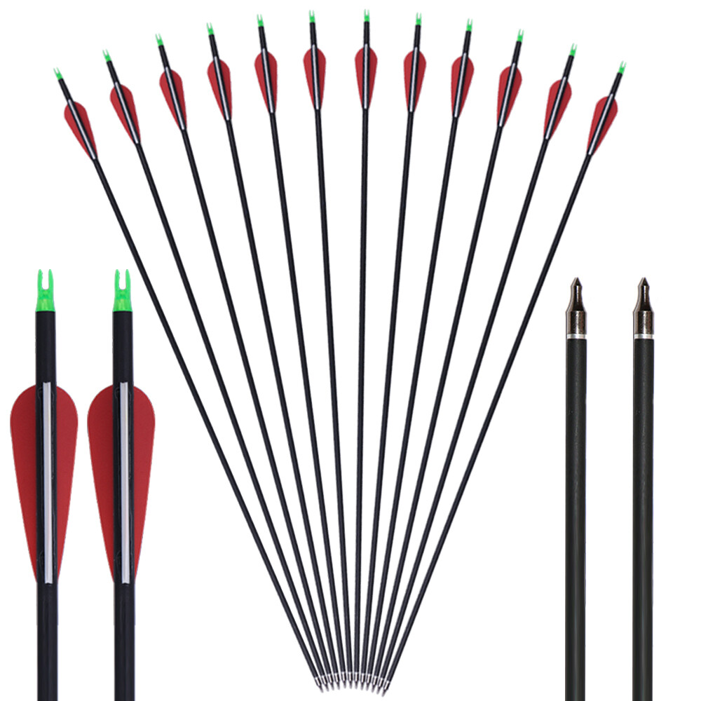 19-70lbs Adjustable Compound Bow Carbon Arrows Archery Shooting Hunting Target