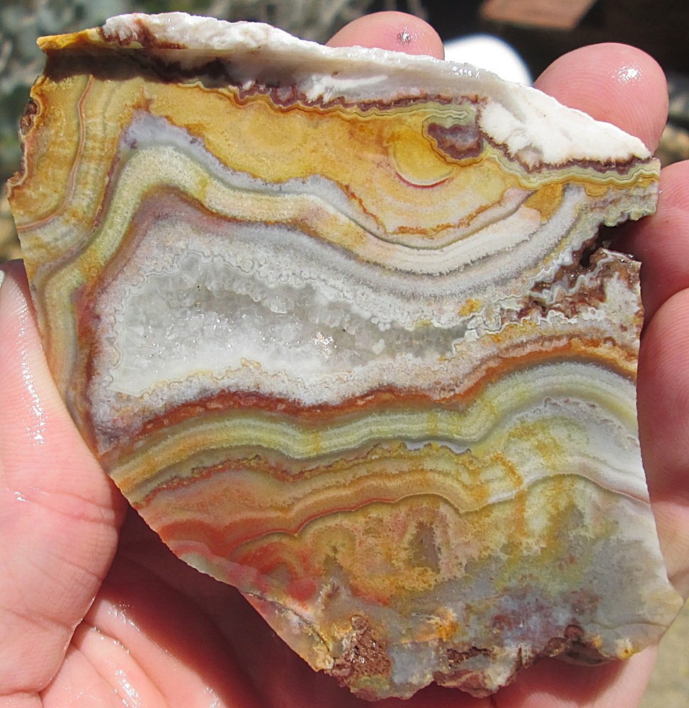 CRAZY LACE AGATE SLAB ~ 3-1/2" X 3"