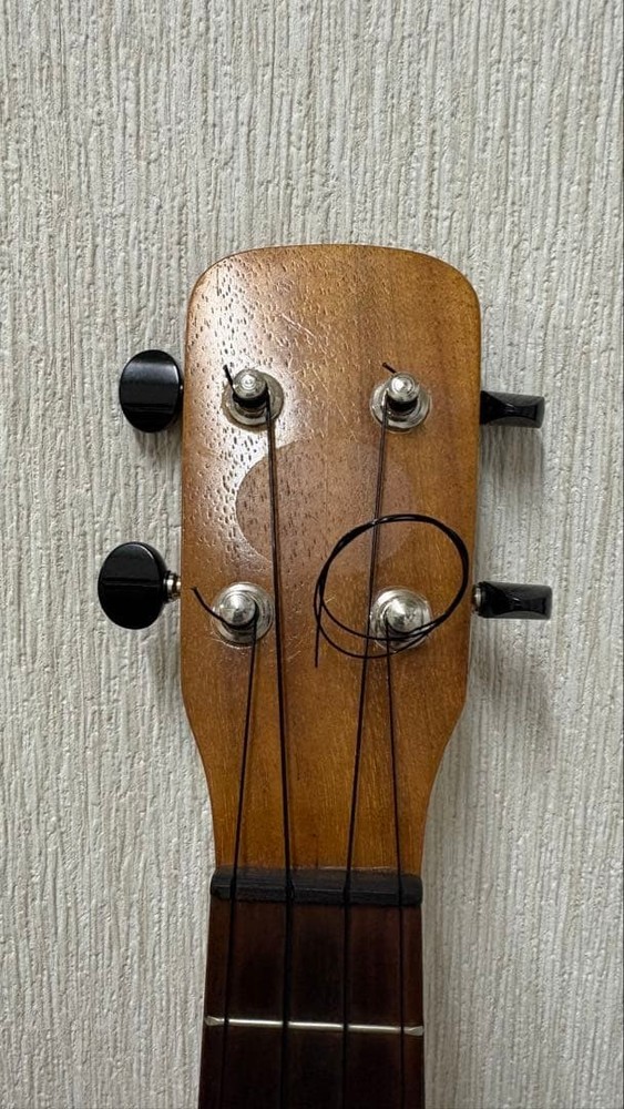 Mana ukulele gear peg pickup with hard case