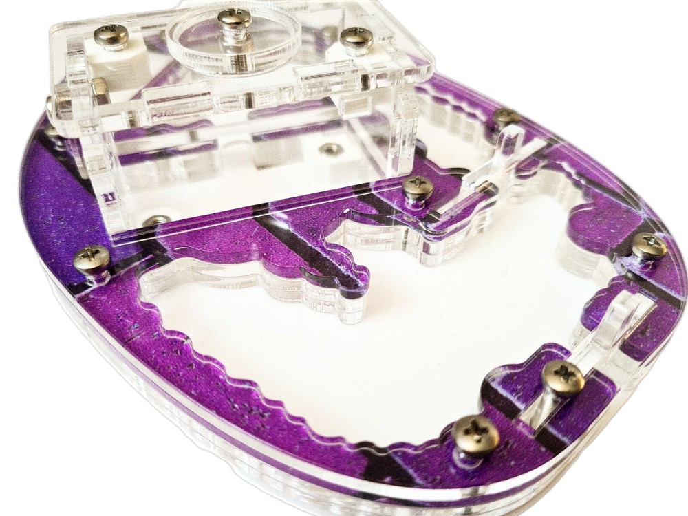 ant formicarium Centre for breeding ants colonies
