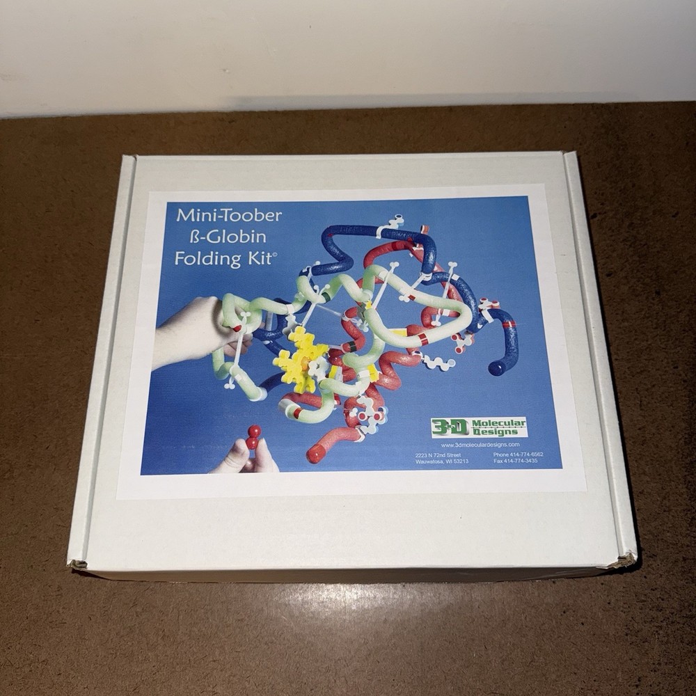 3D Molecular Designs Mini-Toober ß-Globin Folding Kit
