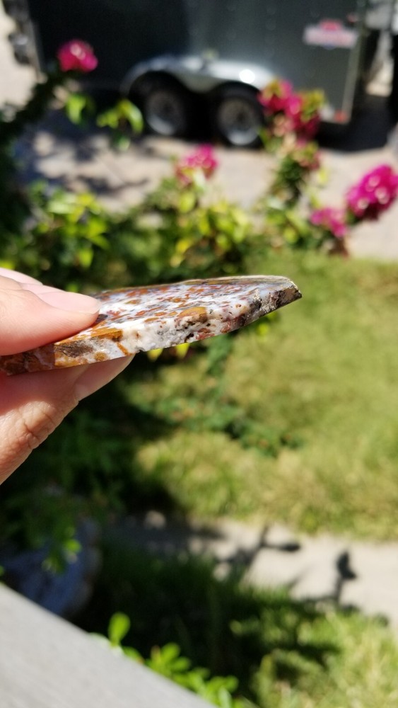 Wingate Pass - Plume Agate - Slab