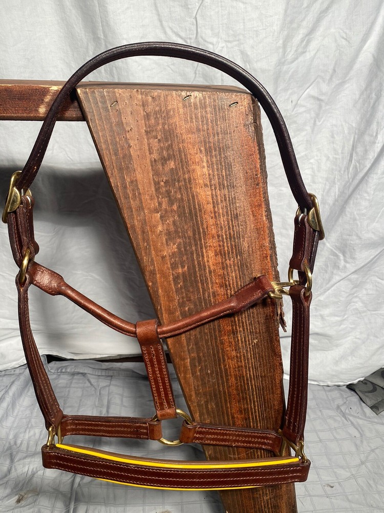 Presentation Leather Halter For Horse Size!