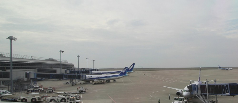 Addition of Tentative Extra Charges for EMS for placed order