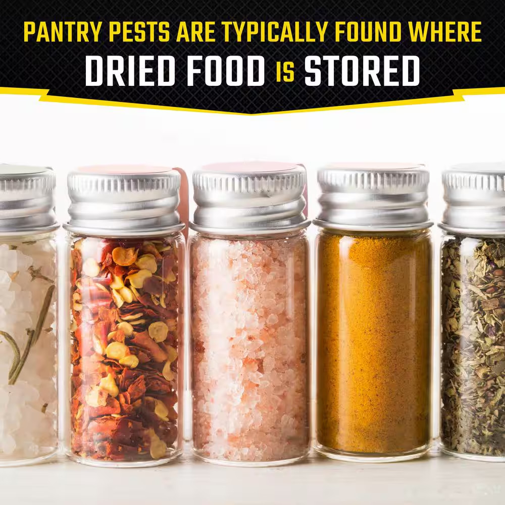 Pantry Pest Moth Glue Traps Multi-Pack (2-Count)