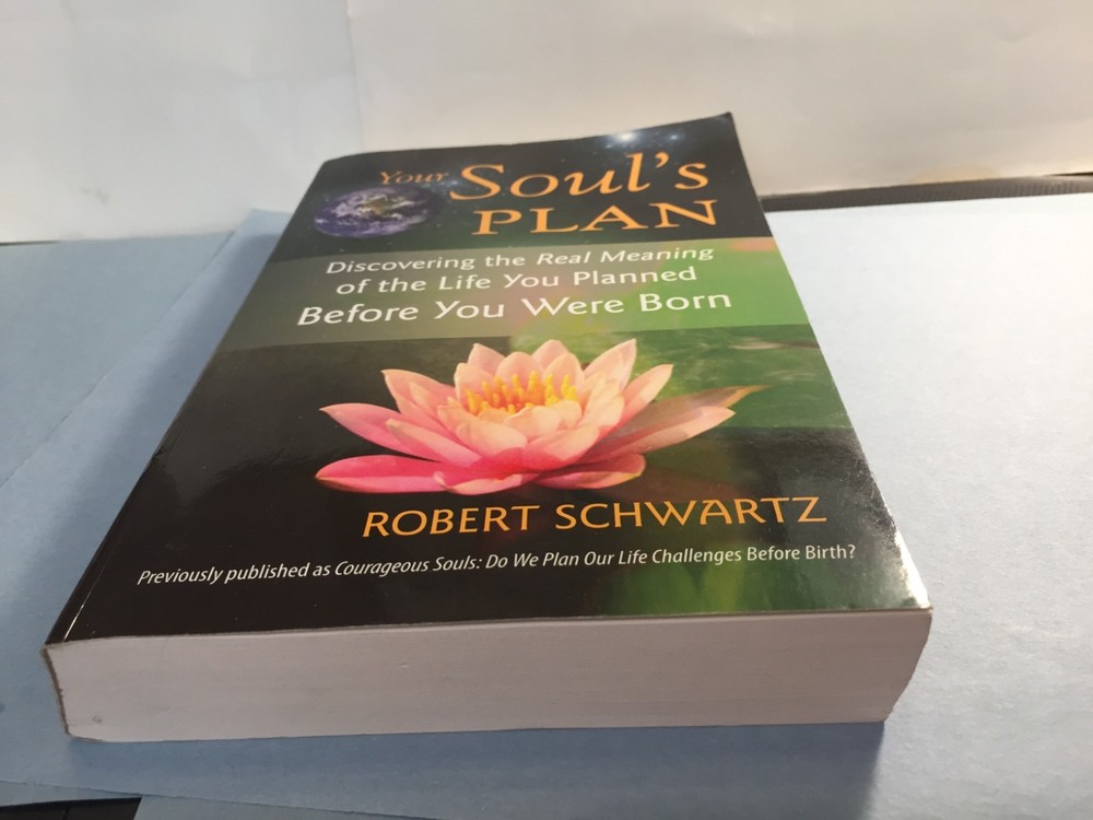 The Soul's Plan by Robert Schwartz
