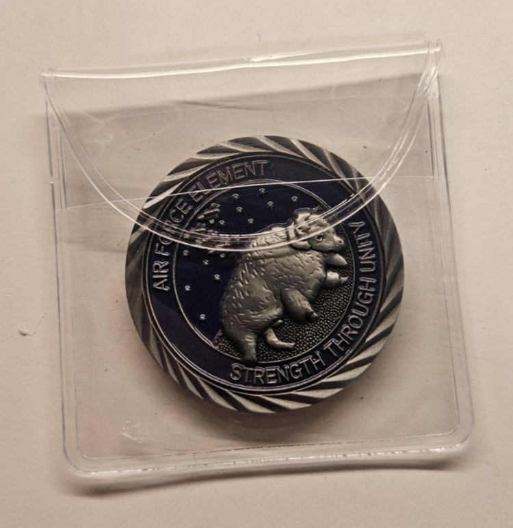 Military Personnel Exchange Program Air Force Element Strength Through Unity Coi