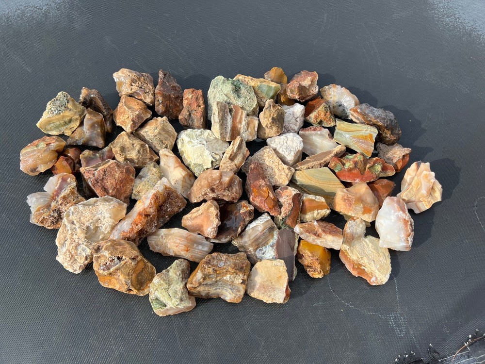Owyhee Agate/Jasper Rough Lot 30.5 lbs (LL4)
