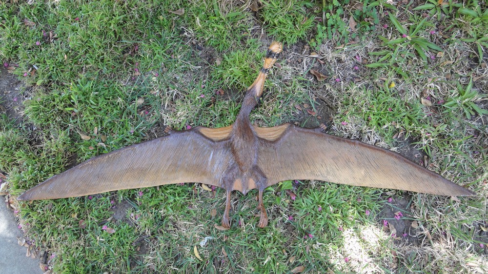 TROPEOGNATHUS ROBUSTUS PTEROSAUR MODEL