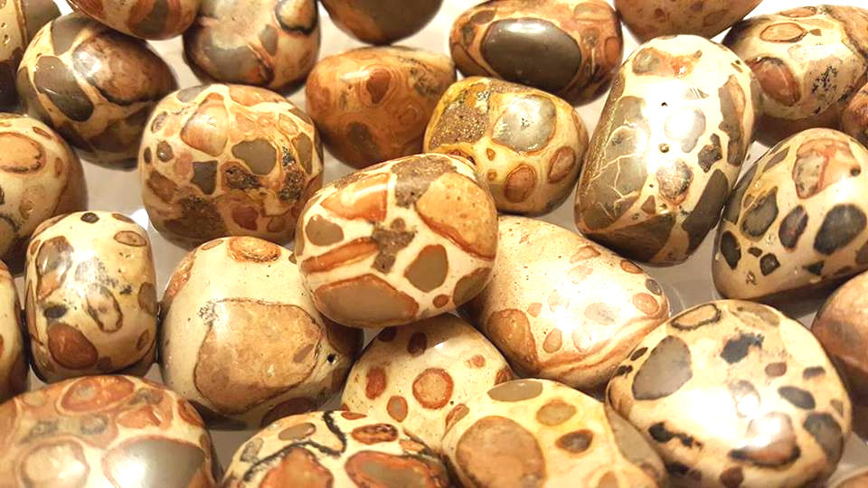 Leopardite from Peru