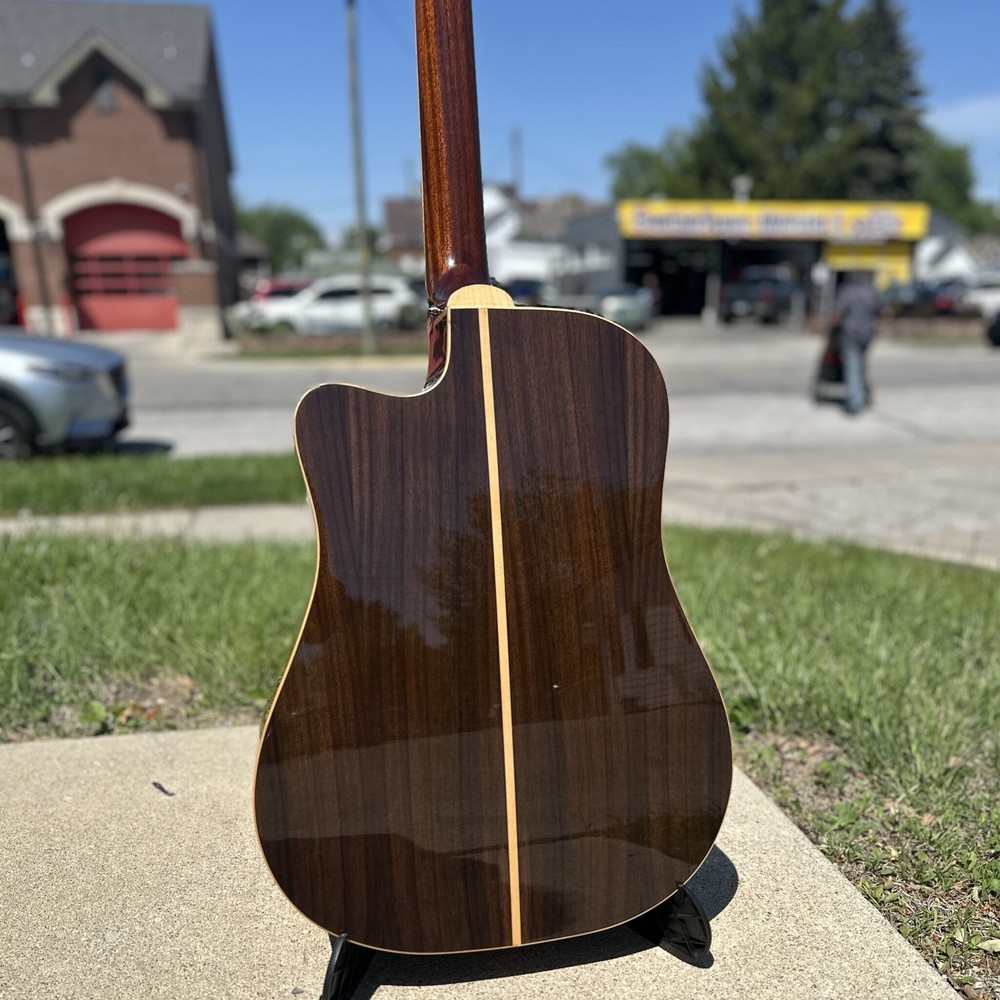 Washburn D10SCE DLK w/ case