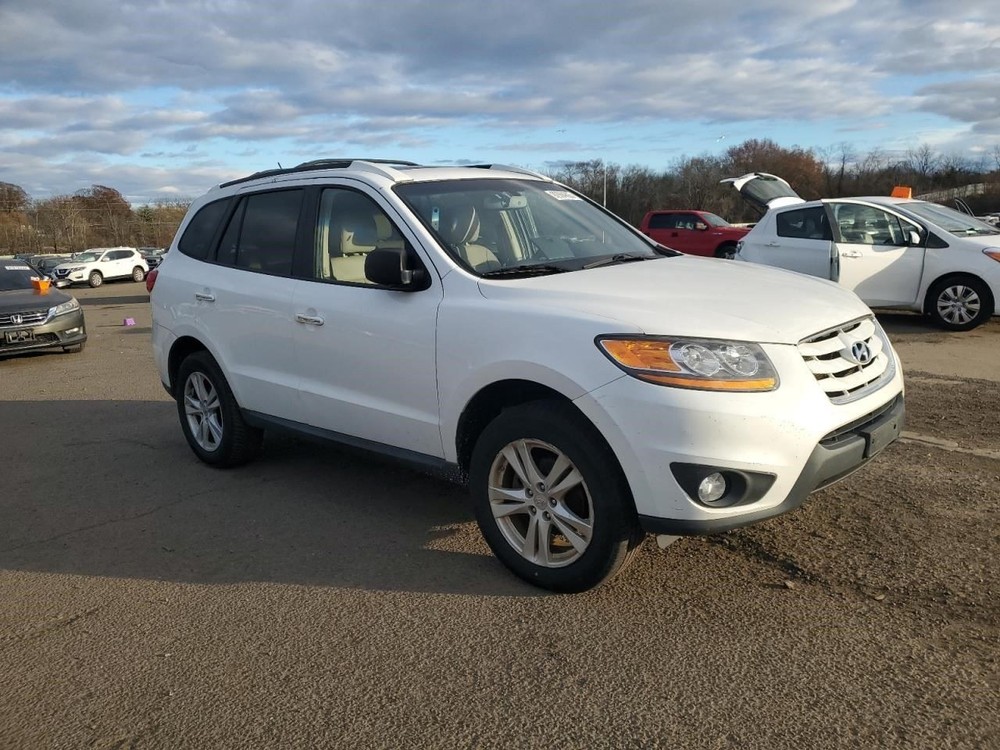 SANTA FE 2010 Glove Box OEM