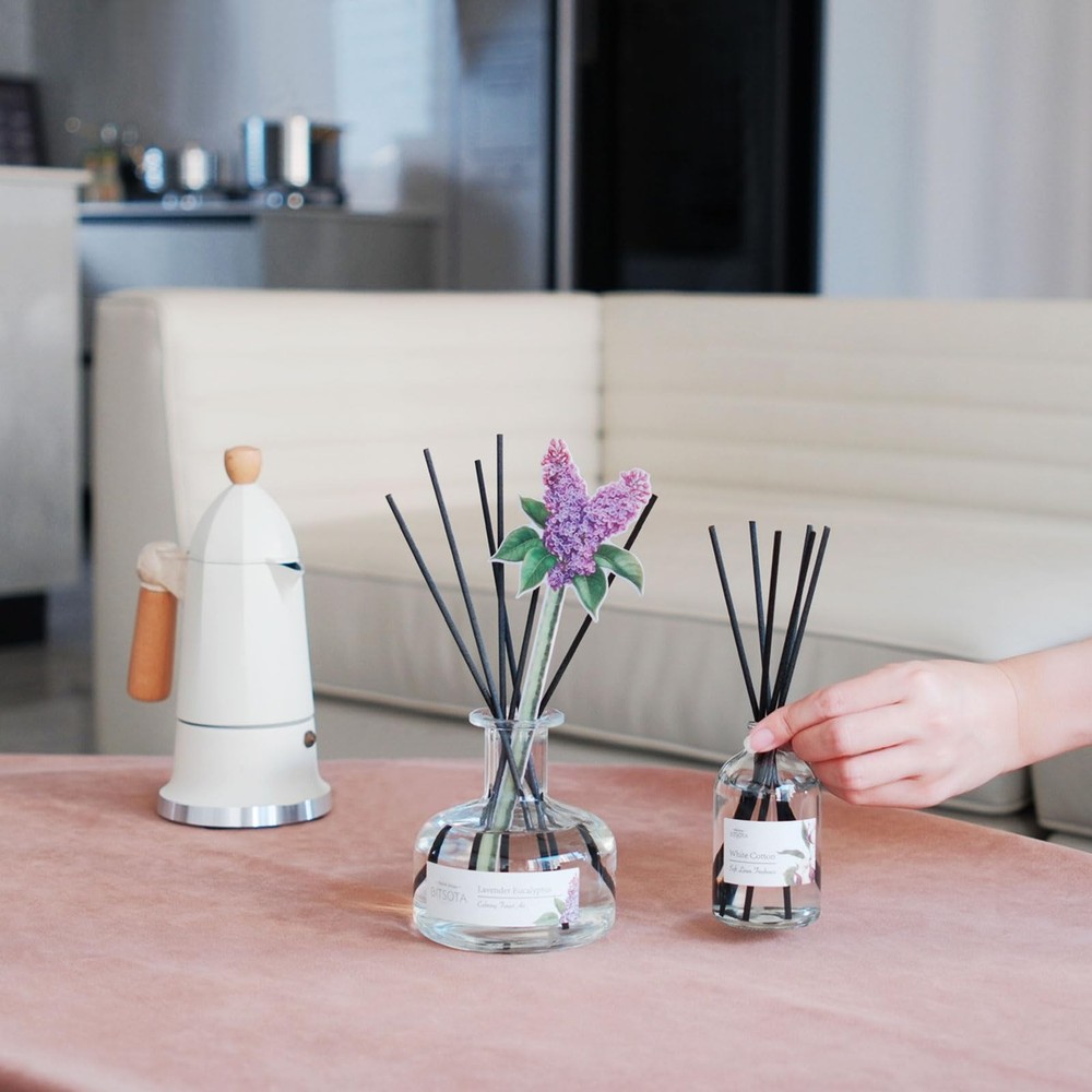 BITSOTA Reed Diffuser Set, Aroma Scented 3.52 oz (100ml), Transparent