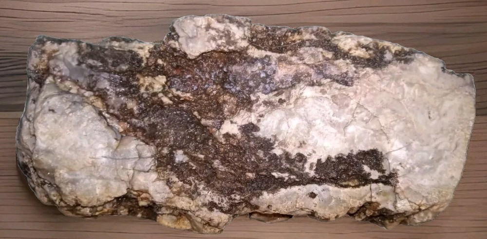 Petrified Wood Opalized Rough AZ 2 lbs 8 oz
