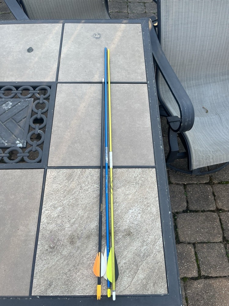 Bear Archery Compound Bow