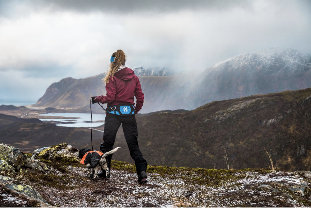 Non-stop dogwear Ferd Belt