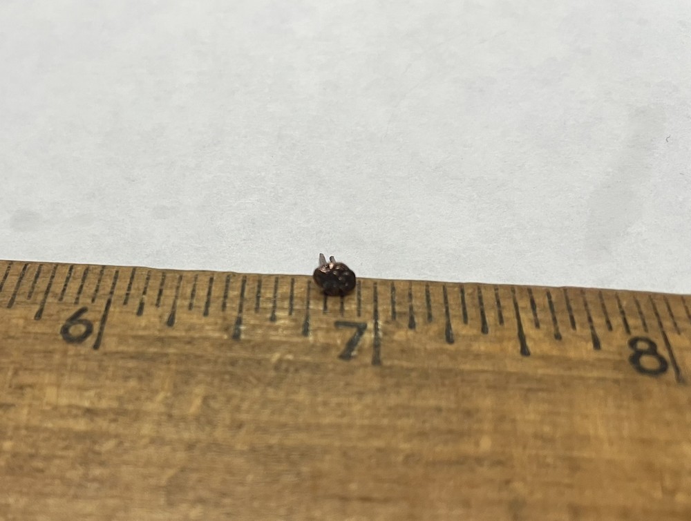 Bronze Oak Leaf Attachment For Ribbons