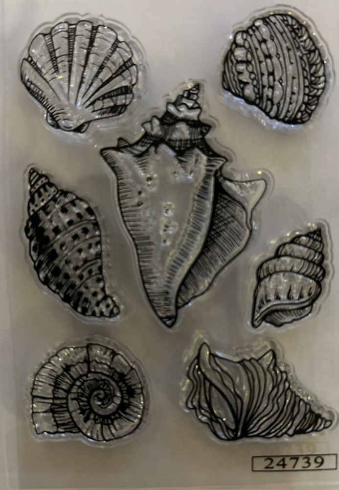 “SEASHELLS “ DIE AND STAMP SET By Scrapbooking Made Simple