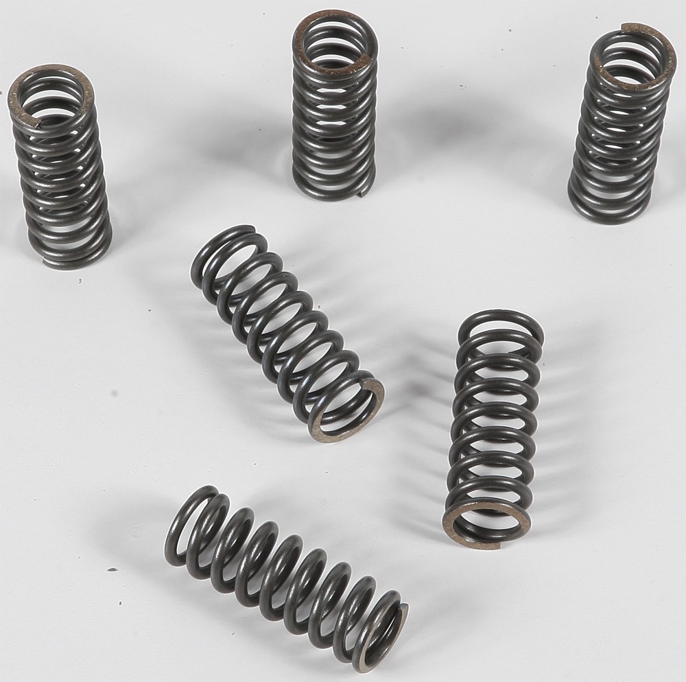 EBC CSK Clutch Spring Kit CSK45