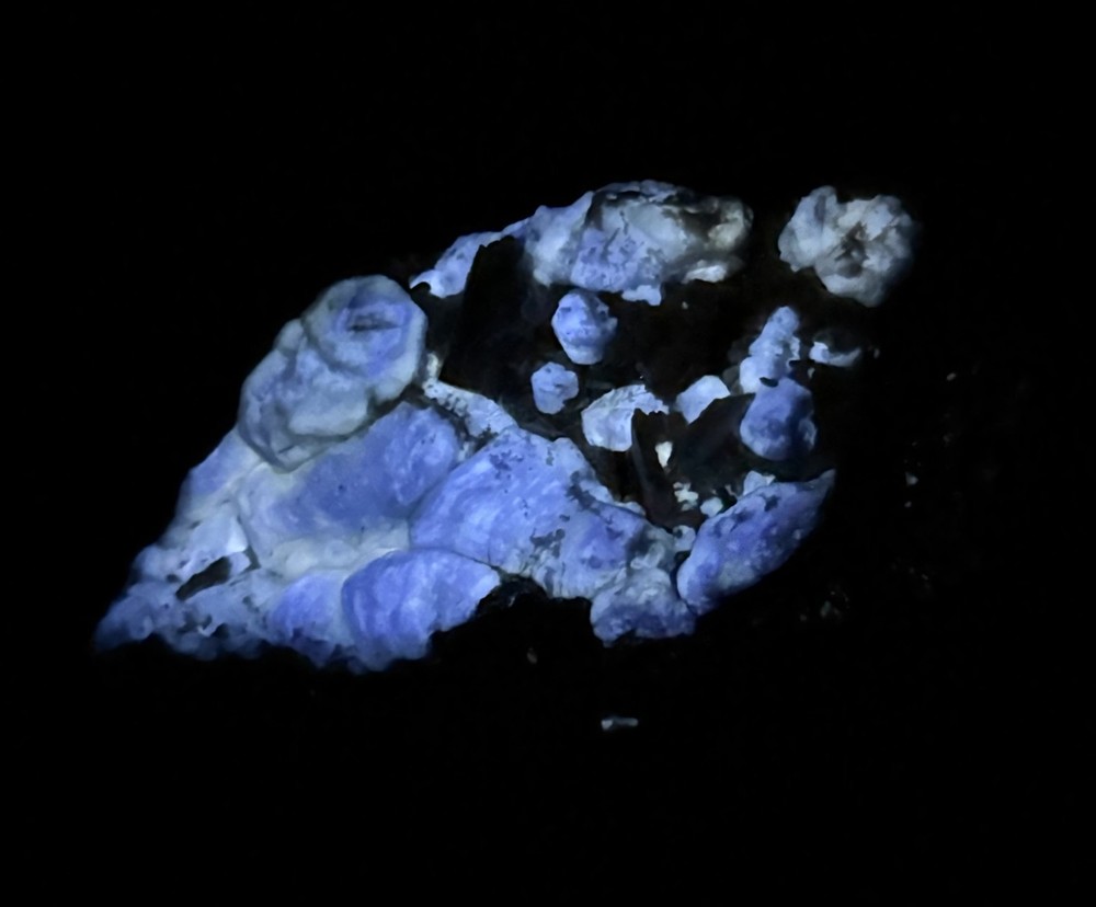 695 Gr. Fluorescent Phosphorescent Blue Hackmanite Crystals Cluster, Forsterite