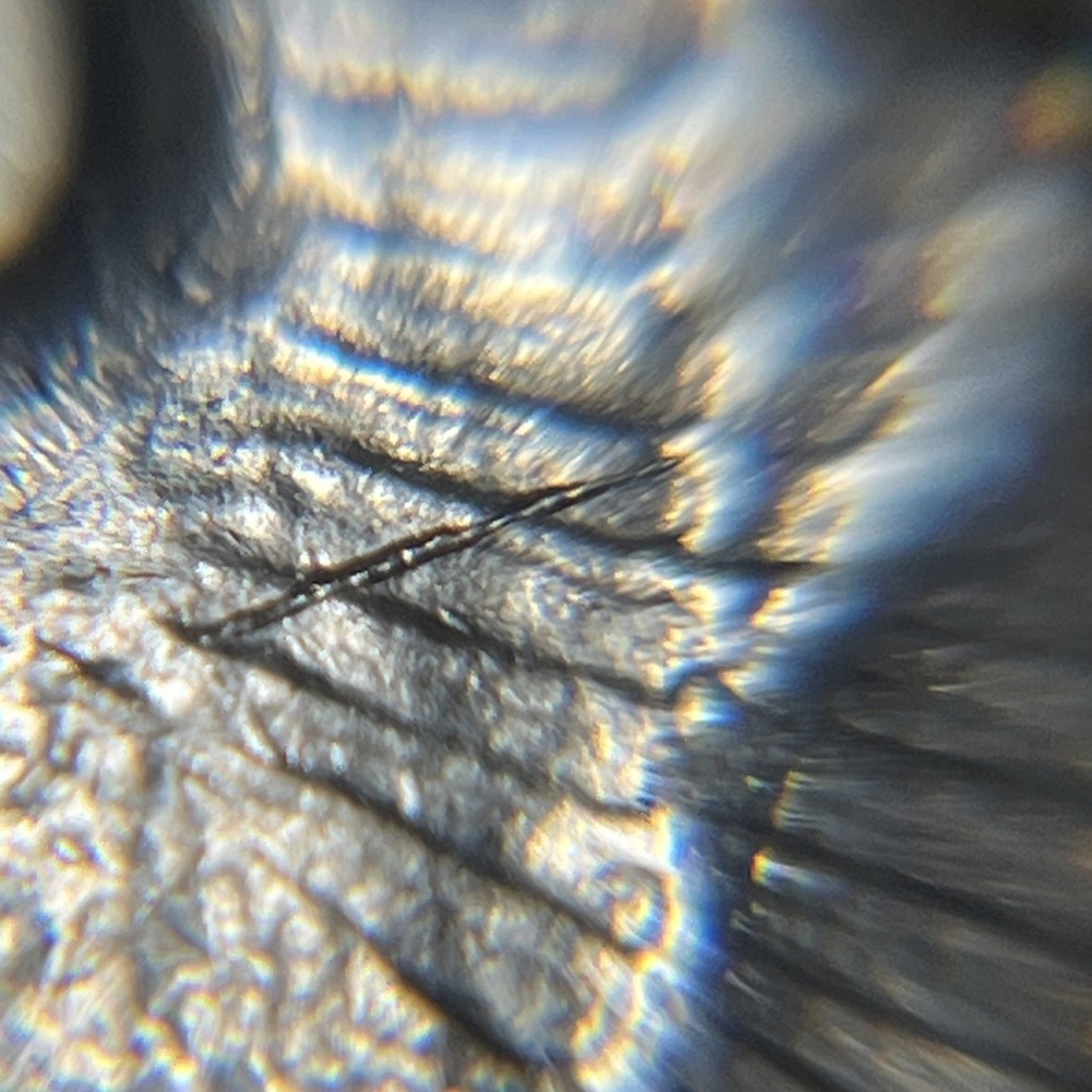 1972 P Eisenhower Ike Dollar Type 2 Die Crack Errors Wounded / Speared Eagle