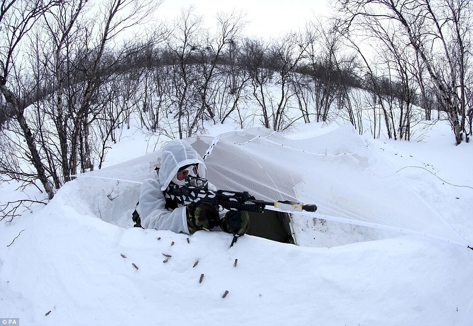 Genuine British Army Arctic Warfare SNOW TERRAIN Personal Camouflage NET 8ftx7ft