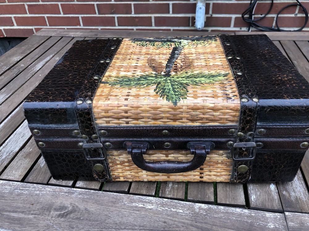 Vintage Ature trunk featuring a hand-painted palm tree