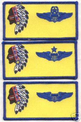 549th  COMBAT  TRAINING SQUADRON WINGS patch