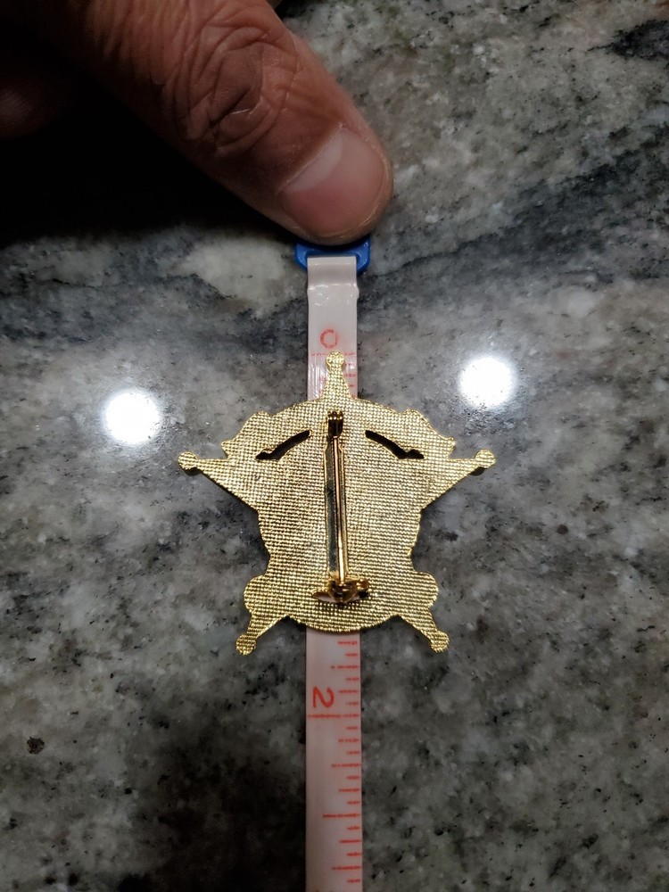 Texas Sheriff Lapel Pin