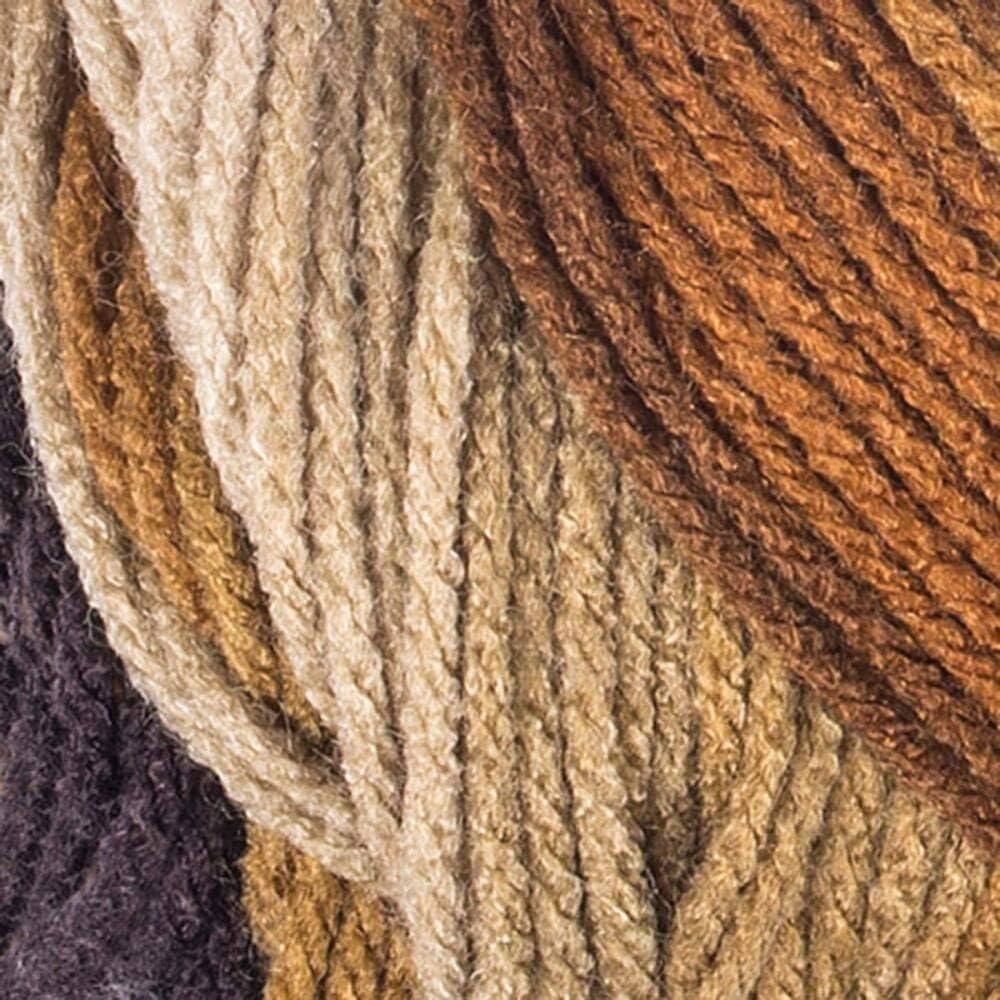 Super Saver yarn, Latte Stripe