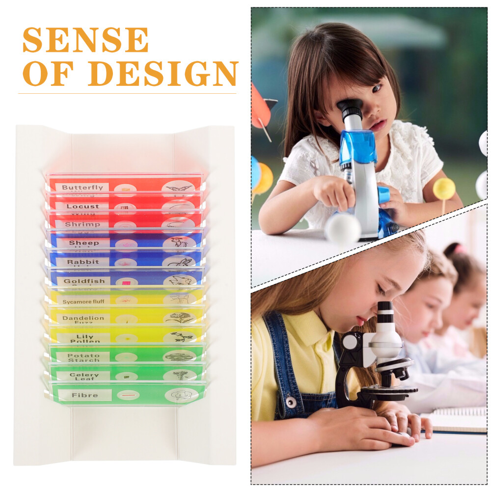 36 Pcs Microscope Slide for Science Education Biology Child