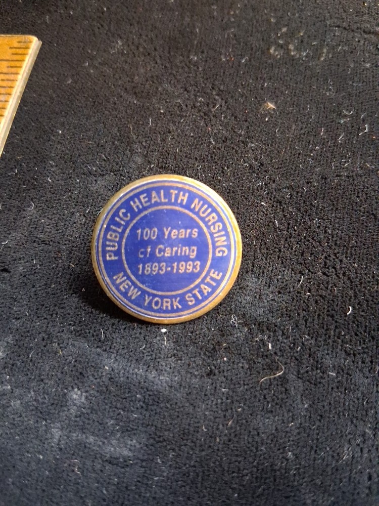 Nursing Pin NY State