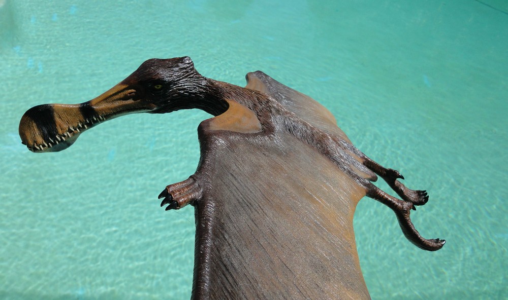 TROPEOGNATHUS ROBUSTUS PTEROSAUR MODEL