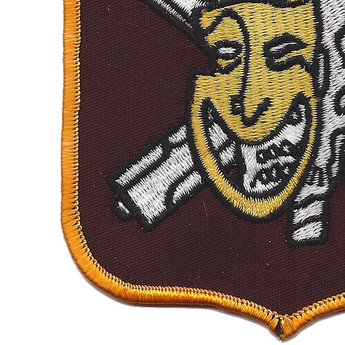 VF-173 Aviation Fighter Squadron Patch