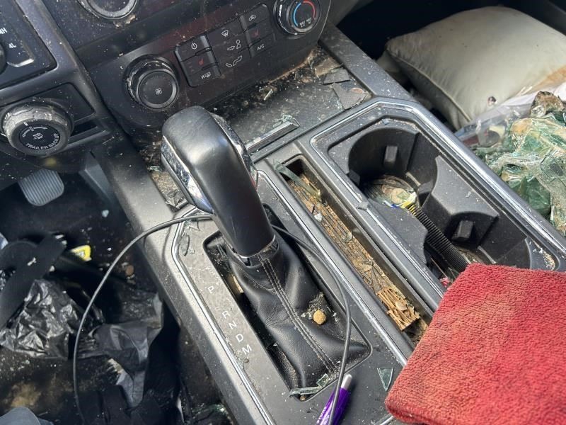 F150 2019 High Mounted Stop Light 104642264